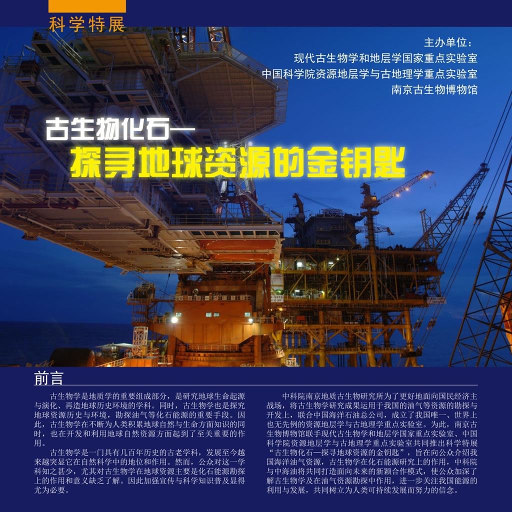 �Ͼ������ﲩ����Ƴ��������ﻯʯ��̽Ѱ������Դ�Ľ�Կ�ס���ѧ��չ