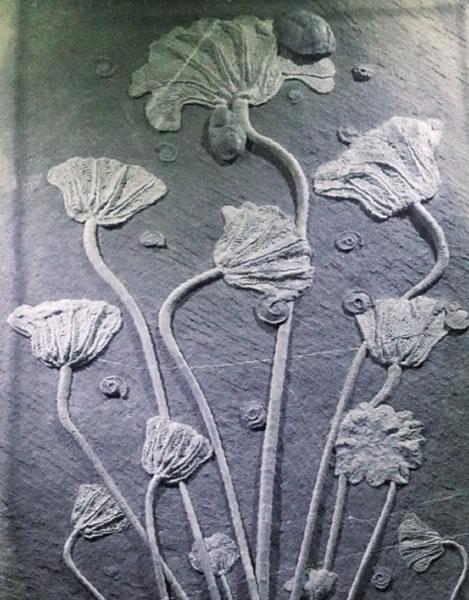 ��ʯ�ղ��г�����ٻ��������� ���߼���ϸ�