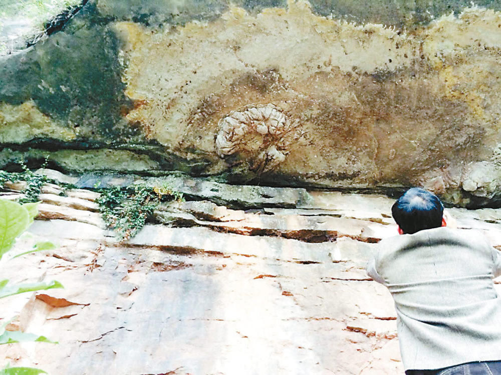 �����뽭����������Ҵ����ƺ�ͱڷ��ֿ����ü���ʯ