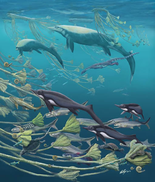 贵州三叠纪关岭生物群复原图 (Brian Choo绘制)