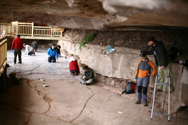 重庆市綦江区三角镇红岩坪村莲花保寨发现迄今世界上最大的白垩纪水鸟足迹化石