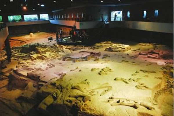 �Թ������ݻ�ʯȺ