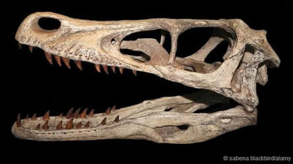 Ѹ������һ��С�������޽���Ŀ����