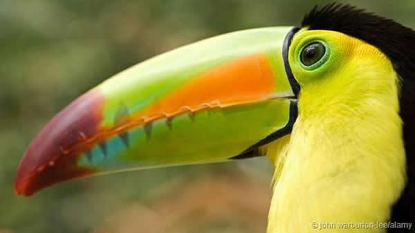 ����๲���̬��С��һ