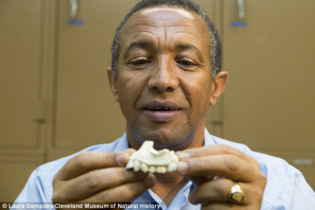 �����о�������Yohannes Haile-Selassieչʾ�����ֵ���������������ǻ�ʯ��ͬʱ���������ֲ����㲿��ʯ����Ϊ����Ҳ����Australopit