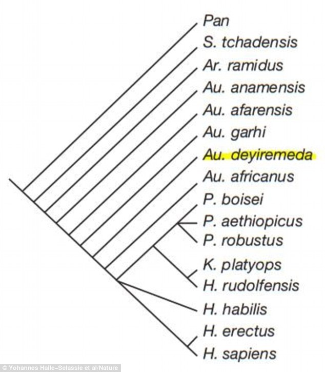 ���ǿ�ѧ�һ��Ƶ��������������֧ͼ��