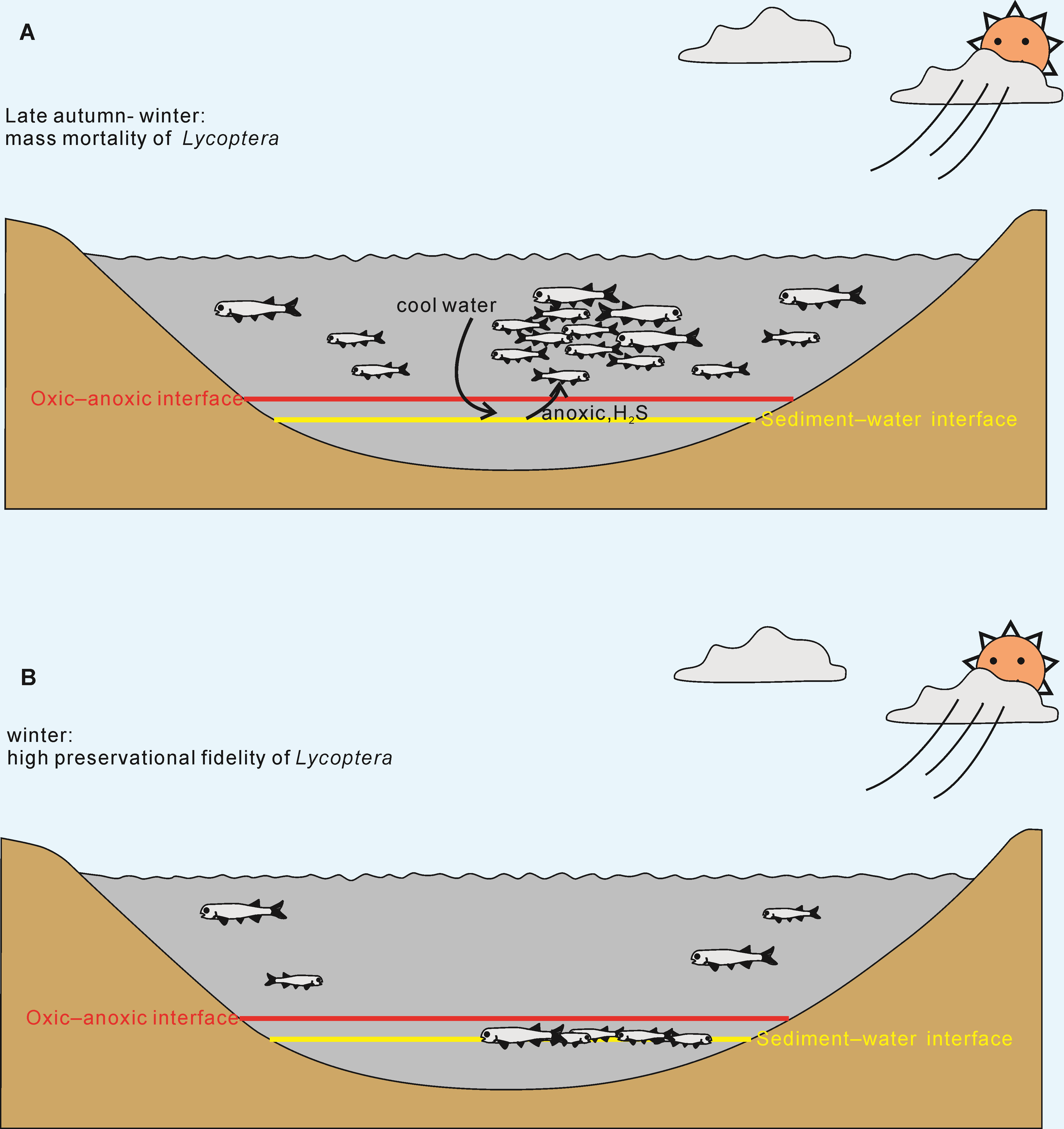 ���������������Ⱥ��ʯ��������̼���ģ��