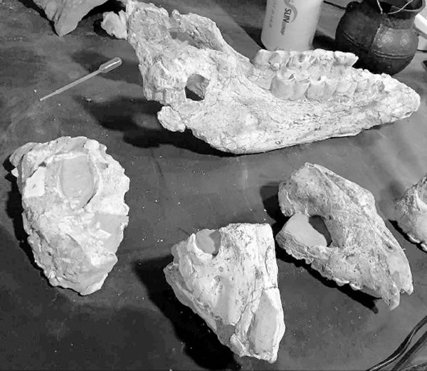 �������·���300����ǰ�����ﻯʯ