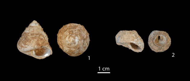 ����Ksar Akil��ַ����ţ��