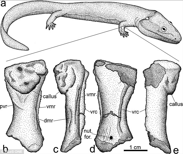 ��ѧ���״�֤ʵ�����ˮ�е�½��������ļ�׵���ܶ���Դ���ϰ�������ɴ�½