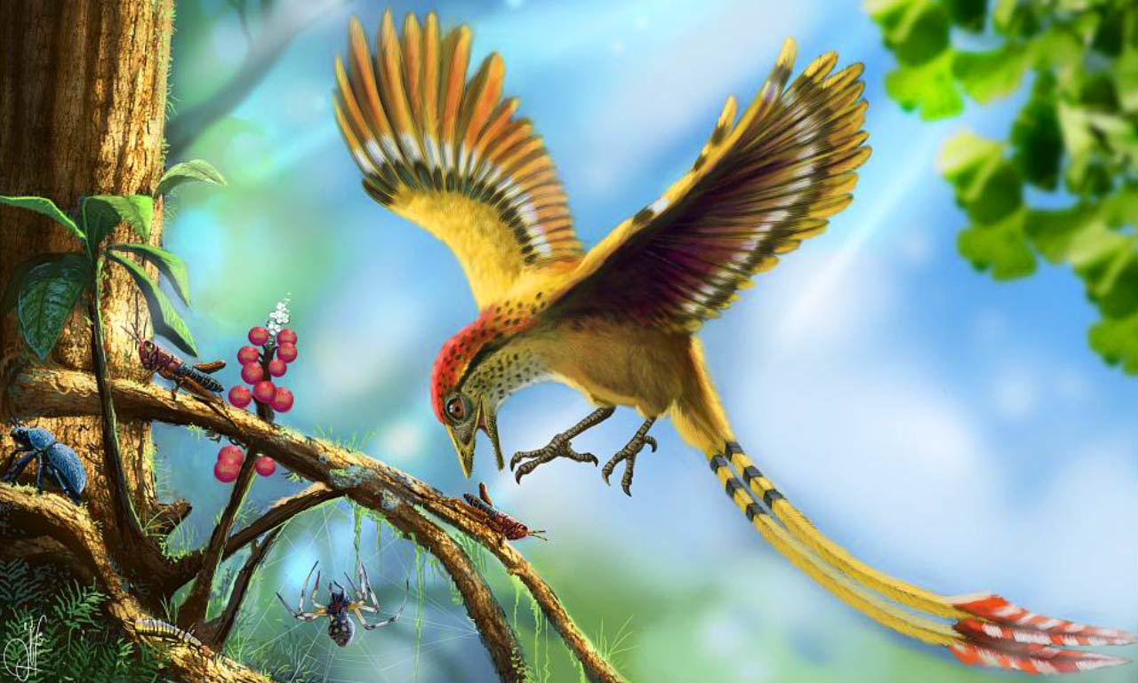 �������ֵ�һ��������������ɹŴ�½�����໯ʯ����