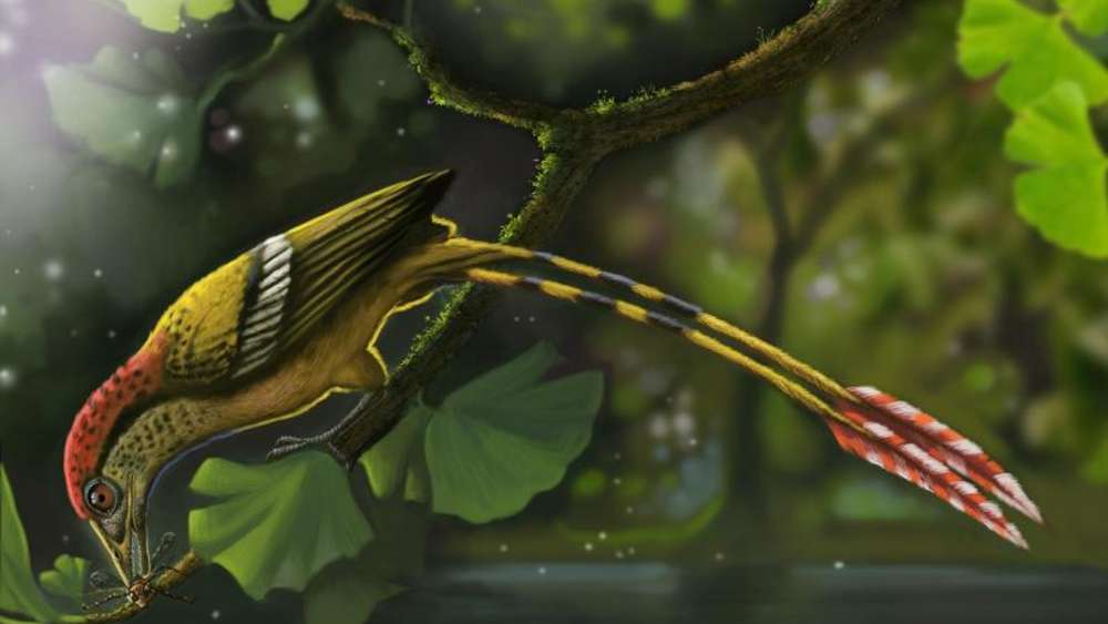 ��������������������������������ɴ�½�����໯ʯ����