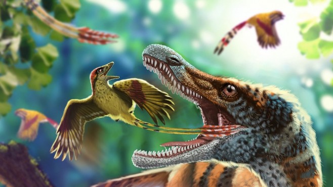 ��������������������������������ɴ�½�����໯ʯ����