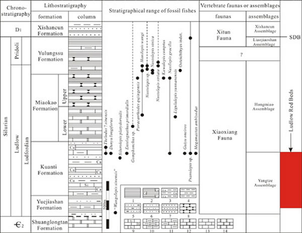 ͼ2 ������������־��ϵ�ۺϵ���ͼ�����Ľ�ͼ��