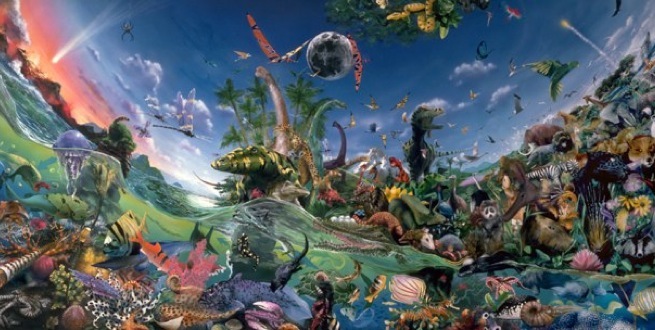 ������ʹ󱬷����춨�������෢չ����