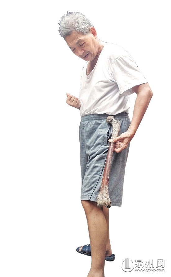 ��־�������չʾ����ɹǻ�ʯ