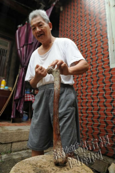 ��Ͽ�˹ɹǻ�ʯ