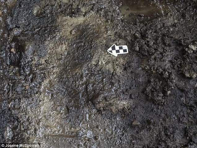 ���ô��������������ص����ֱ�������������ӡ��ʯ ���1.32����