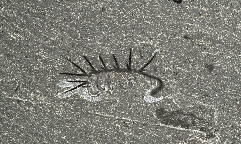 ���ô󲮼�˹ҳ��5����ǰ�ֵ�����»�ʯ����