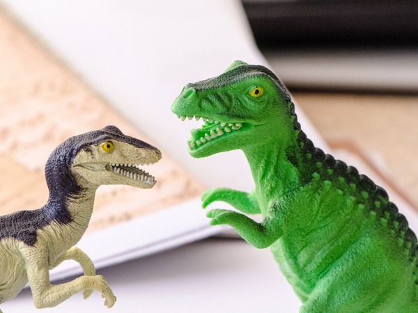 ��������ר�ң�������߲�ú�Զ ȱ����ë