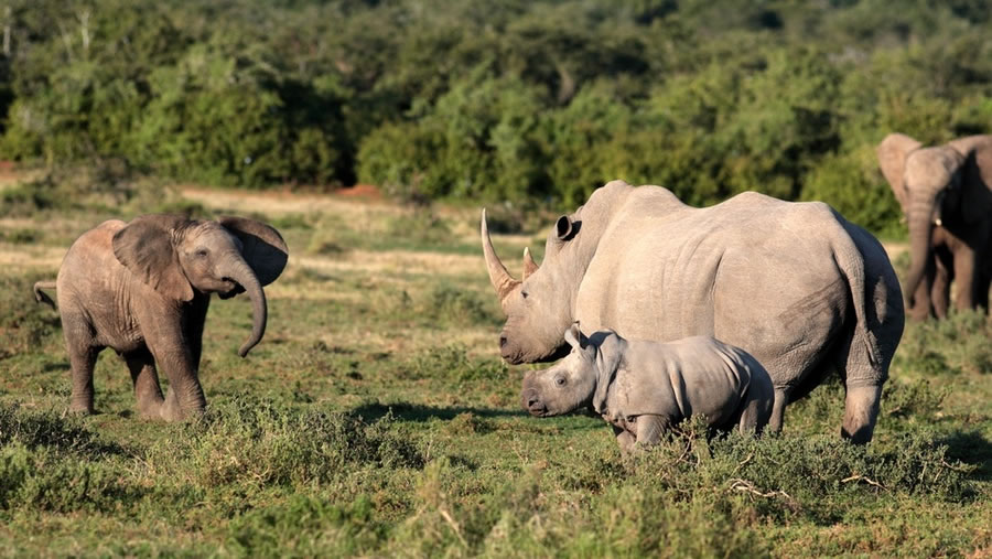 ���������ִ�����������