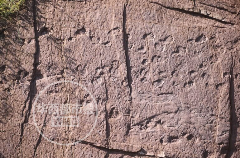 �Ĵ������ط�������̬�����㼣�������������㼣