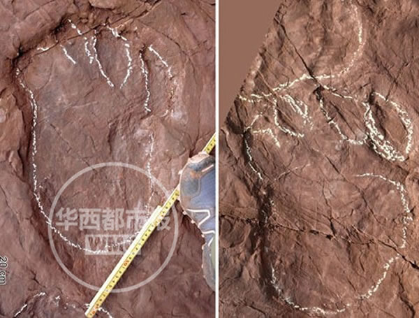 �Ĵ������ط�������̬�����㼣�������������㼣