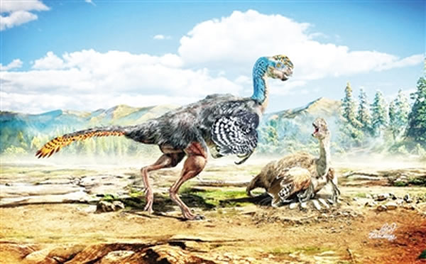 �����������������ز��з����µ��Ե�����ʯ�������ݻ�����