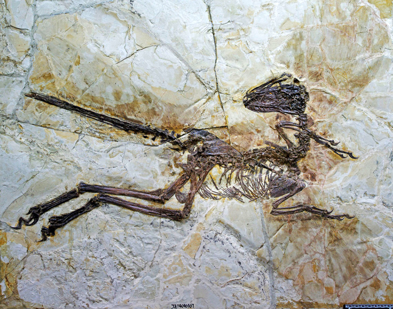 ��Ԫ����ʯ