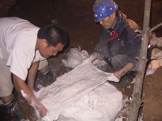 ����ͼ�������㲩ʿ�ʶӶԺӱ��ػʵ����ɶ����췢��