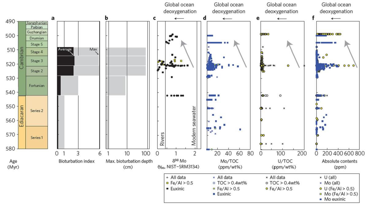 ��ˮ������ԭ����ѧָ����������Ŷ������ں���ʹ󱬷�֮��ˮ����ˮƽ���͵�����