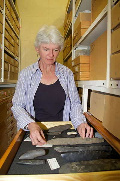 ���������ֵ������ַ��֤ʵ������֪�������ϵ�ë���˶��ӵ�