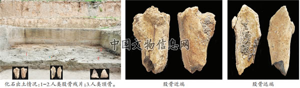 �����龮��������ַ�״η��ֹ�����֫�ǻ�ʯ