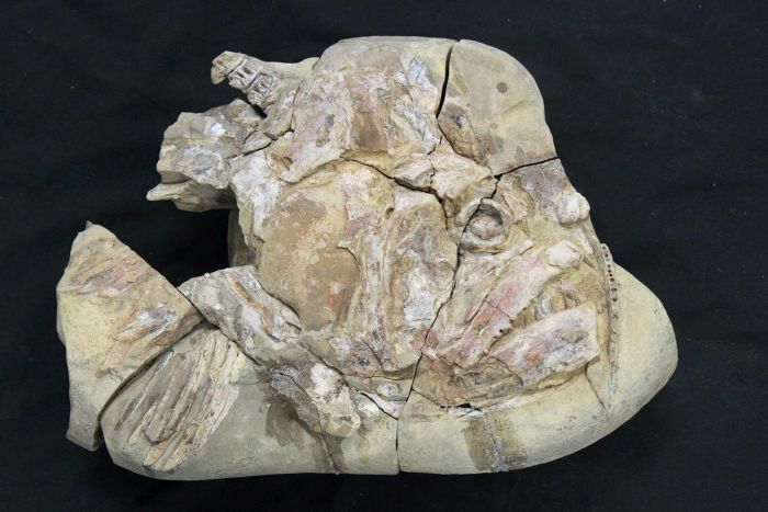 ǳ޴󣬼пǵʱĺϰ֮һ