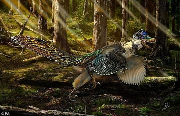 ������Ԫ���ĸ�ԭЧ��ͼ�����������ڴ�Լ1.5����ǰ�Ŀ����峤Լ1.5�ף��������ͬ�࣬���ĳ���Ե÷ǳ��̣����串�ǵ���ë�ṹ��ϸ��θ���