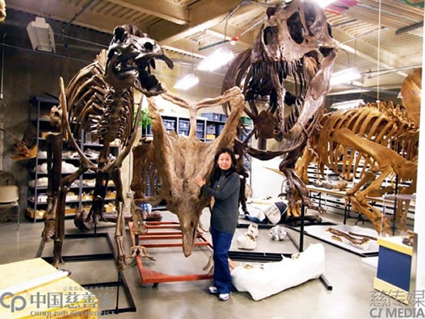 �������ġ�ʯͷ�ǡ�