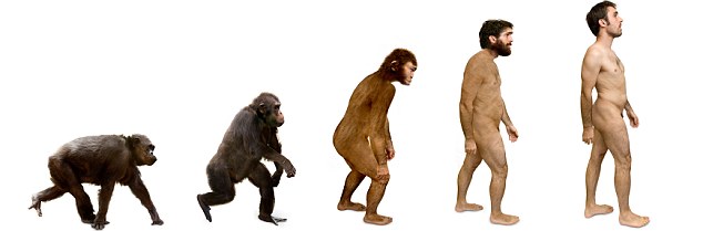 �������Ƥ���з��ֵĸ���֬�����ˡ�Գ��������������쳣������ʷ�չ