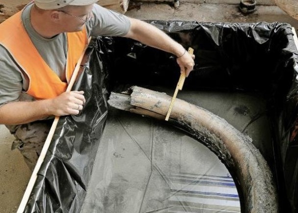 �����ݵ�һ�����̣�����������ë�󺡹ǡ�