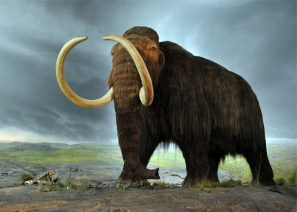 ��ë��������������������ѧ�Ҳ��