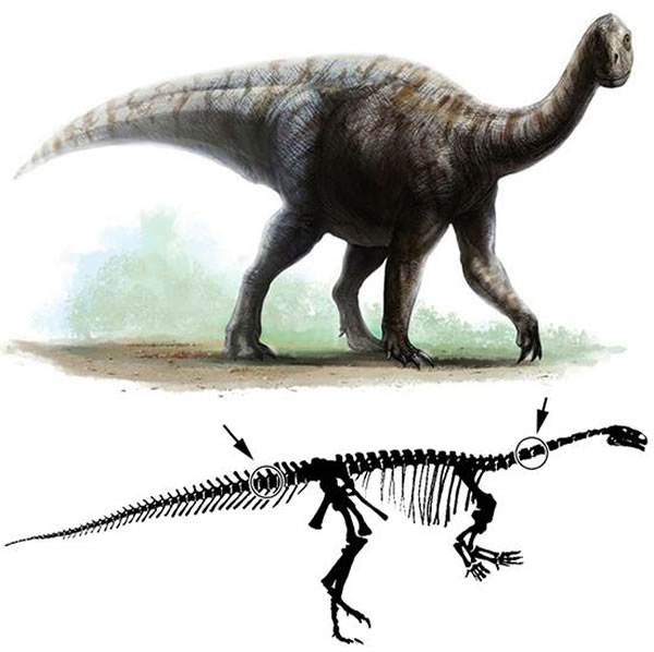 »������ԭͼ�Լ���Ӧ�Ĳ���λ��(��ͼ ���ڴ�)