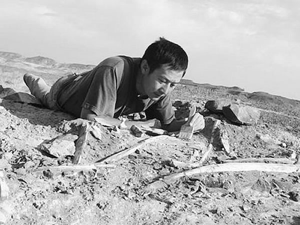 ������Ұ��Ѱ�һ�ʯ