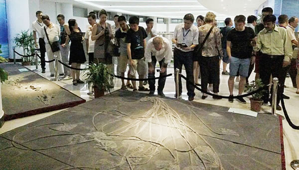 �����������͹����ﻯʯ��չ�����󲨿���