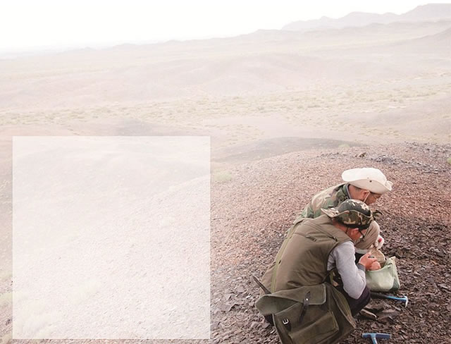 �人һȺ����ʯ���ˡ�Զ���½���ڵȵزɼ���ʯ�걾