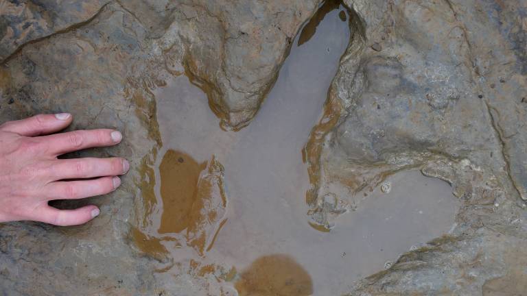 �¹�Muenchehagen������90ö�����㼣��ʯ