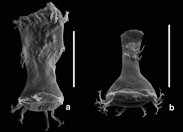 ������ִ������ԭ����п����Ǻ����д��ģ���ֵ�ȱ��������к�����