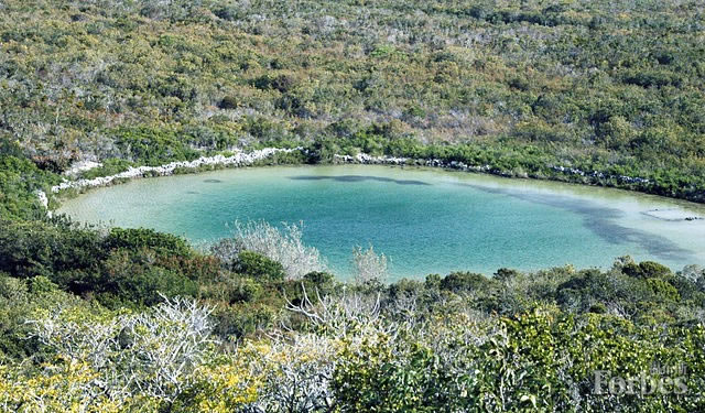 λ�ڰ͹���ʥ�����߶���½��һ������������ӣ���ʯ��������Щ�Ӷ��б���õر�����ǧ��ʱ�䡣��ͼƬ��Դ��ά���ٿ�/ղķ˹��ʥԼ����ͨ��CC-BY 2.0Э����Ȩ��