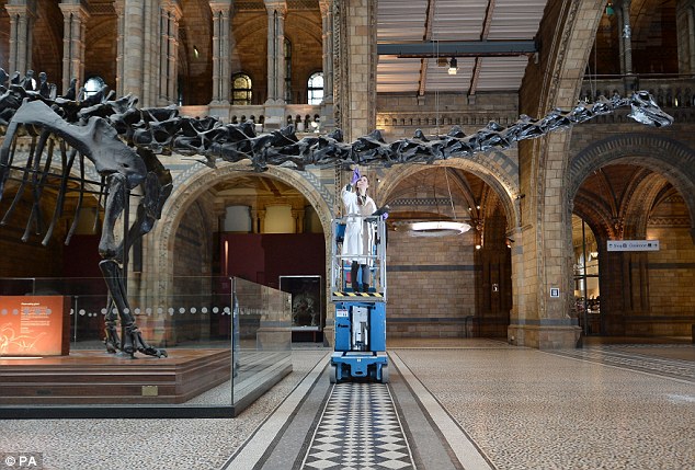 英国自然历史博物馆巨大梁龙骨架Dippy将陆续登入英国各大选址场地