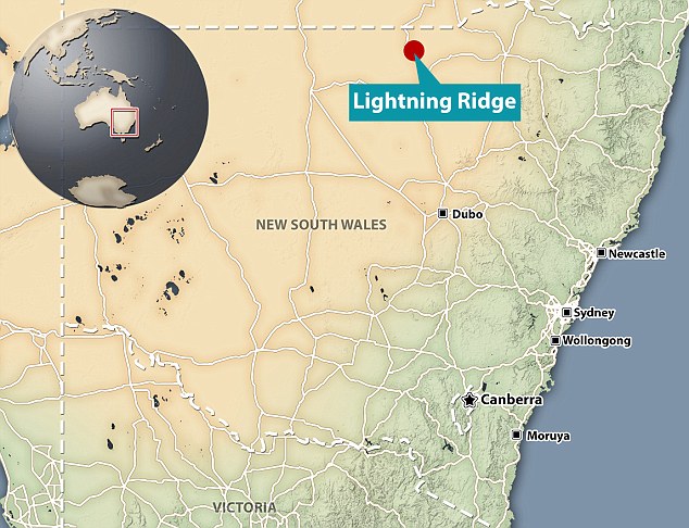 ���޷���������Ʒ�ֵľ޴���ʳ������ʯ �ºš���צ��