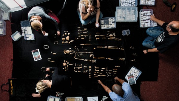 ���յ��ˡ����ϷǶ�Ѩ���ֵ���������