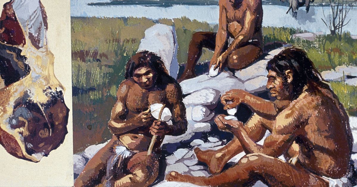 ��������������376����ǰ����չ�����ǵ���ʳ